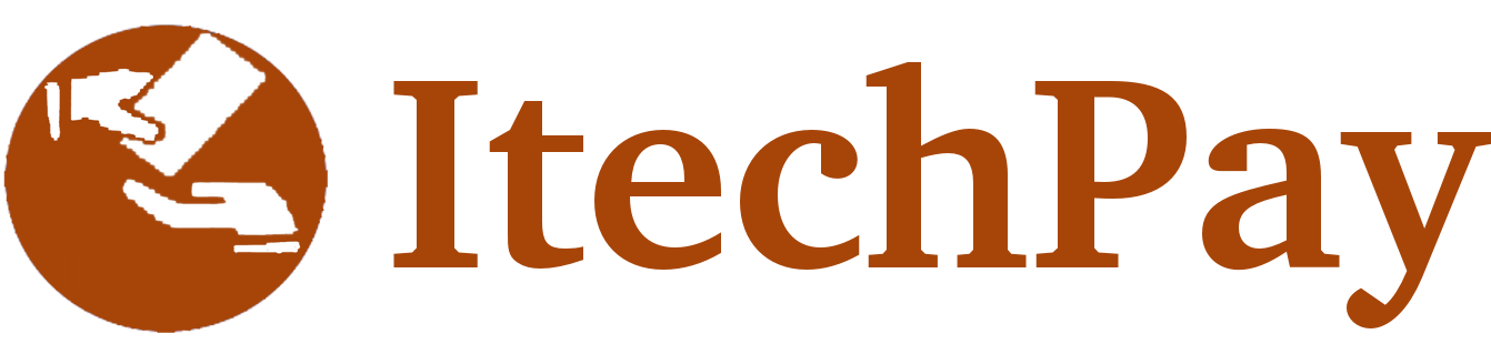 portefeuille élétronique Niger